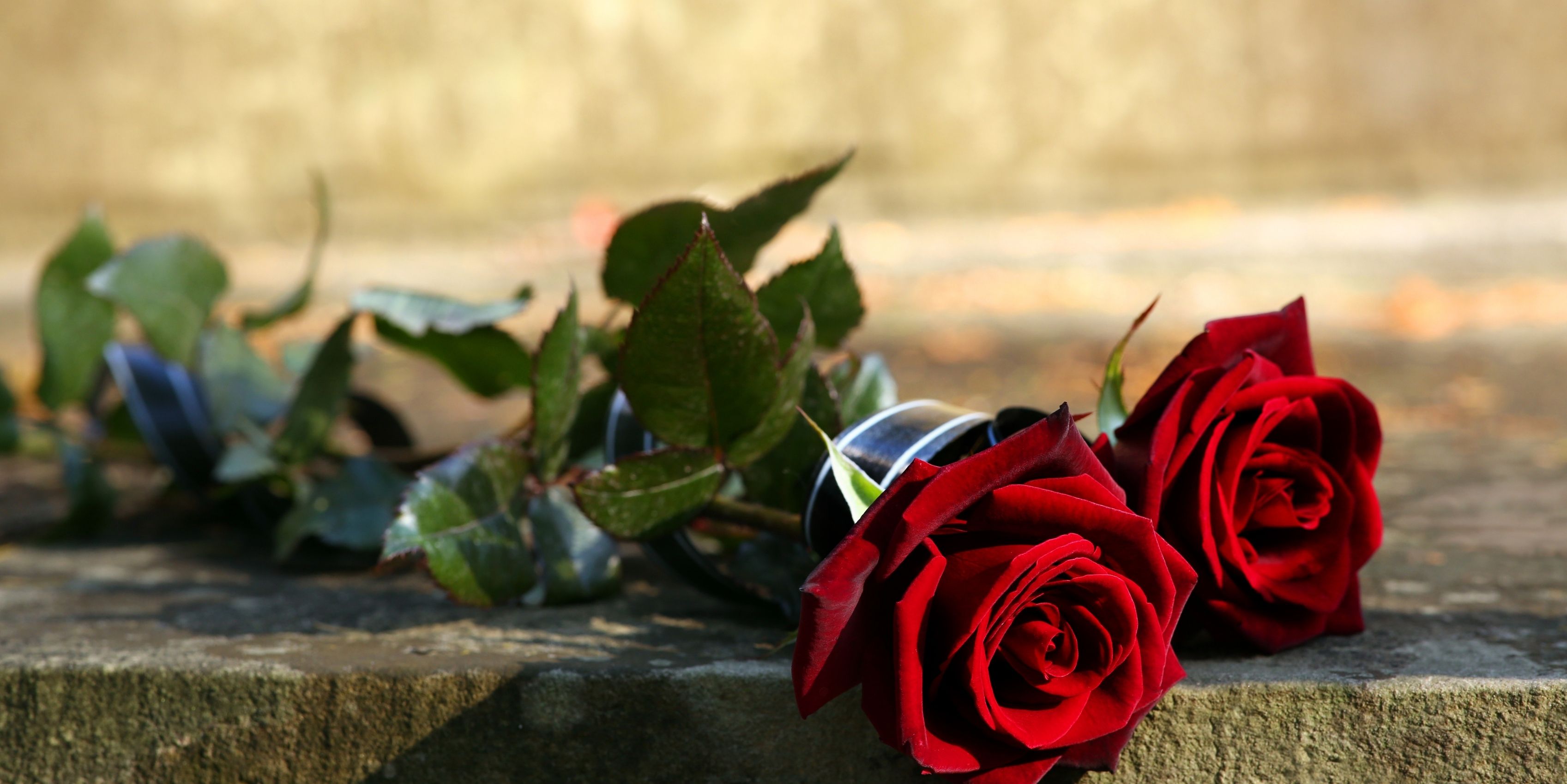 Burial Candles Image (1080 x 1080 px) (1200 x 900 px) (1200 x 600 px) (2)